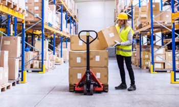 Logistica