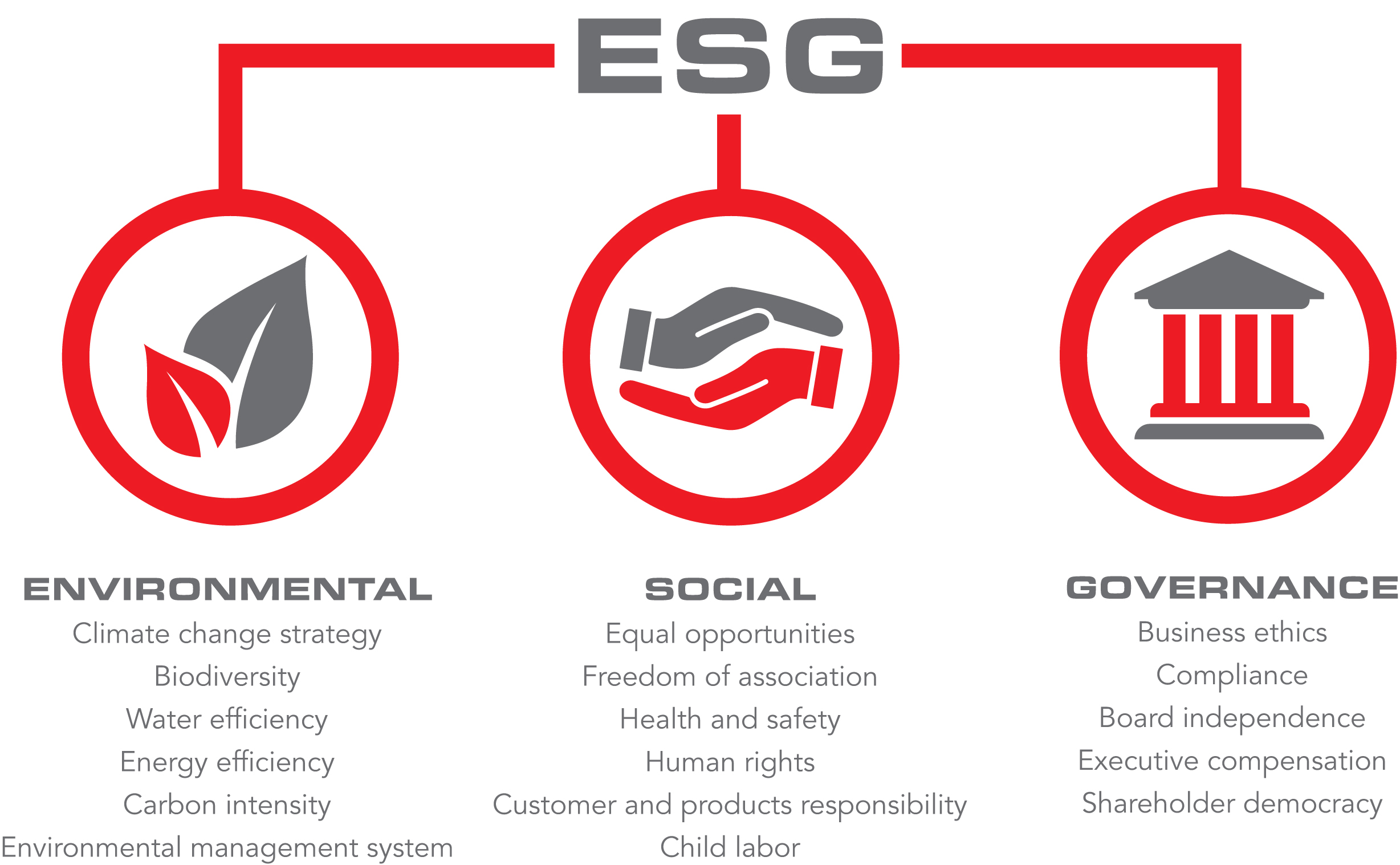 ESG Diagram PLAIN.jpg